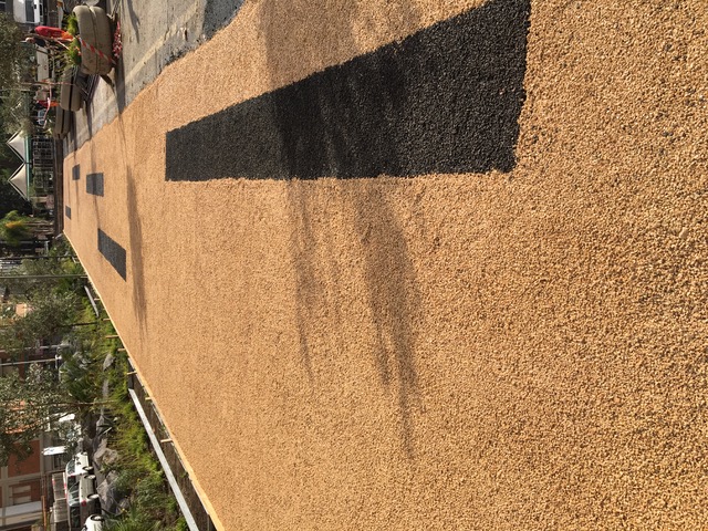 ArtPave2