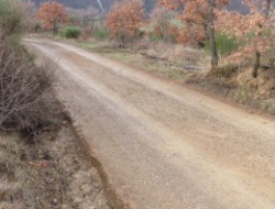 wa_camino